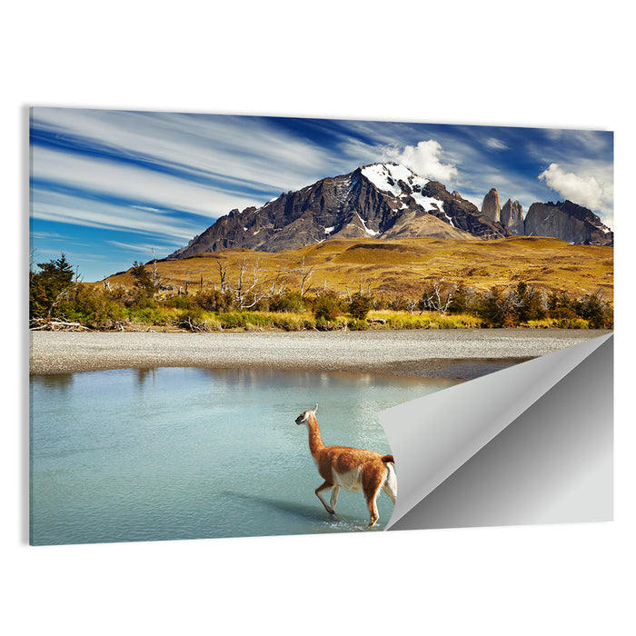 Torres Del Paine, Patagonia Wall Art as a poster print