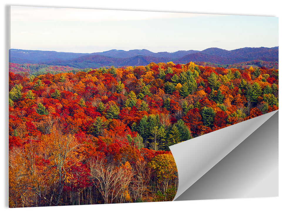 Autumn in the Appalachian Forest Wall Art