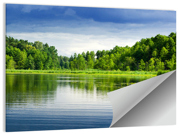 Mazury Forest Lake Wall Art as a poster print