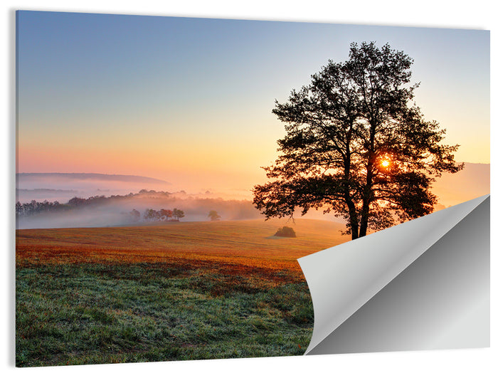 Misty Meadow Sunrise with Lone Tree Wall Art as a poster print