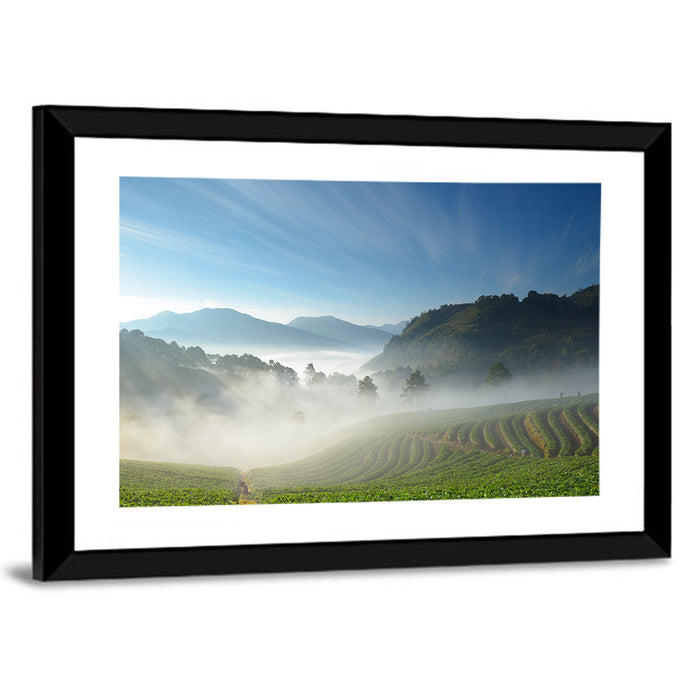 Sunlit Terraced Tea Hills Wall Art as a framed print