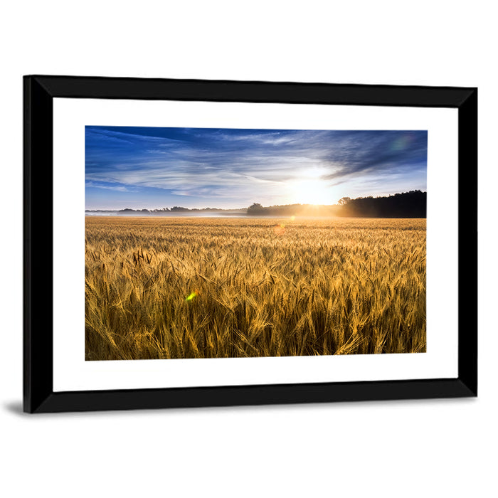 Golden Hour Wheat Field Wall Art as a framed print