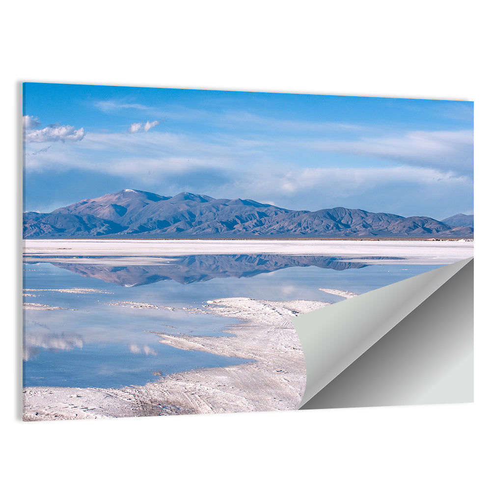 Salinas Grandes Salt Flats Wall Art