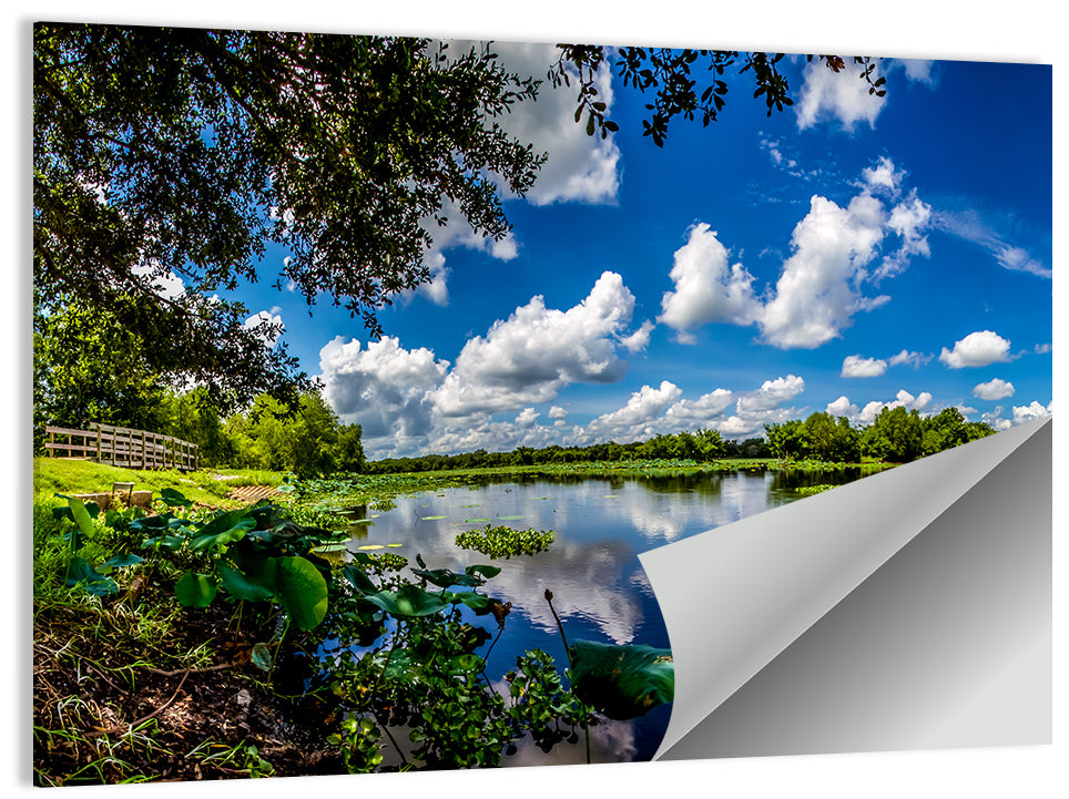 Brazos Bend Lake Reflection Wall Art