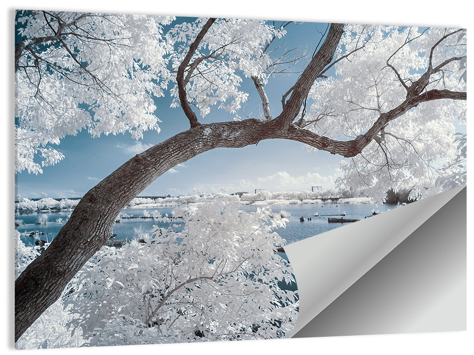Curving Winter Tree Over Lake Wall Art