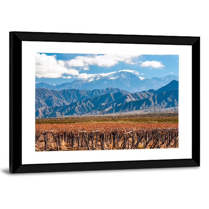 Vineyard Below Aconcagua Wall Art as a framed print