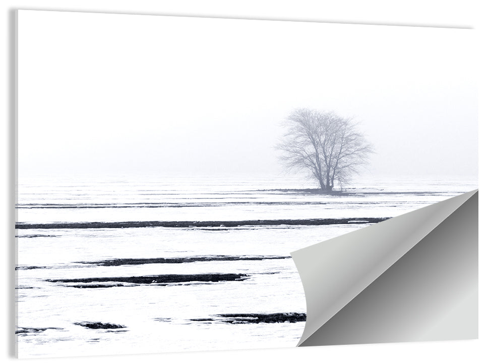 Foggy Winter Field with Lone Tree Wall Art