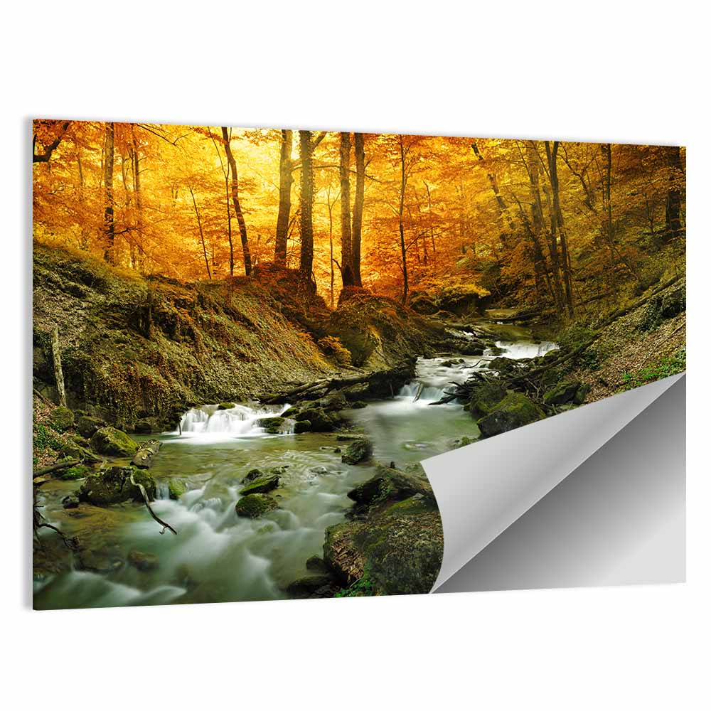 Sunlit Forest Stream Wall Art