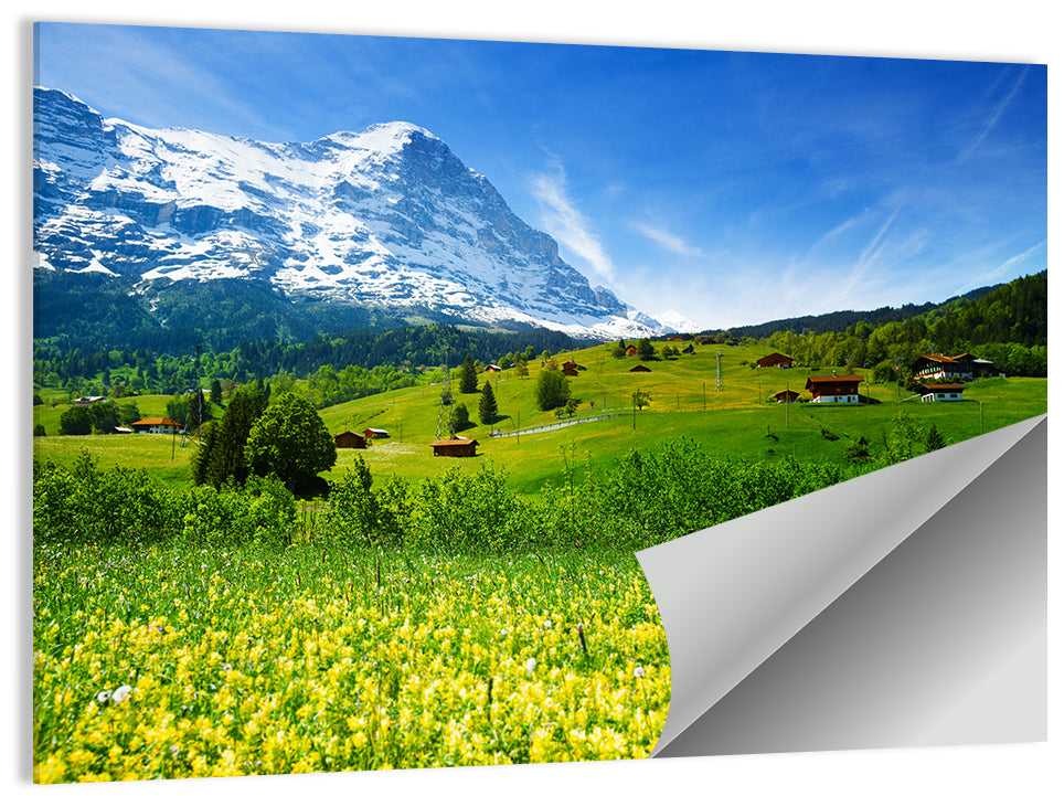 Alpine Wildflower Meadow Wall Art