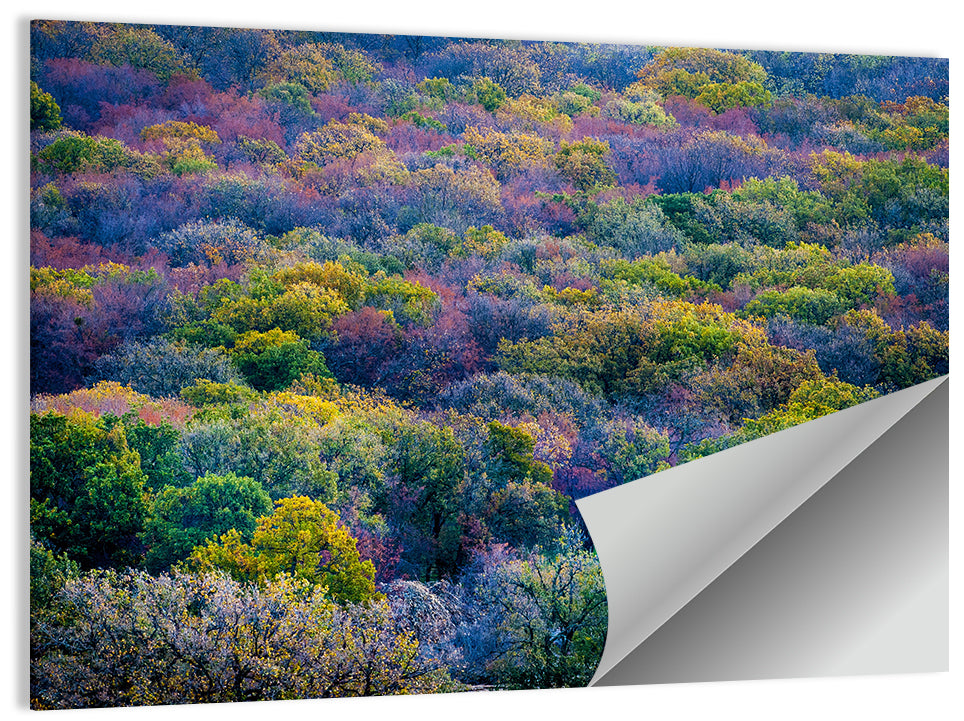 Autumn Canopy Forest with Cabin Roof Wall Art