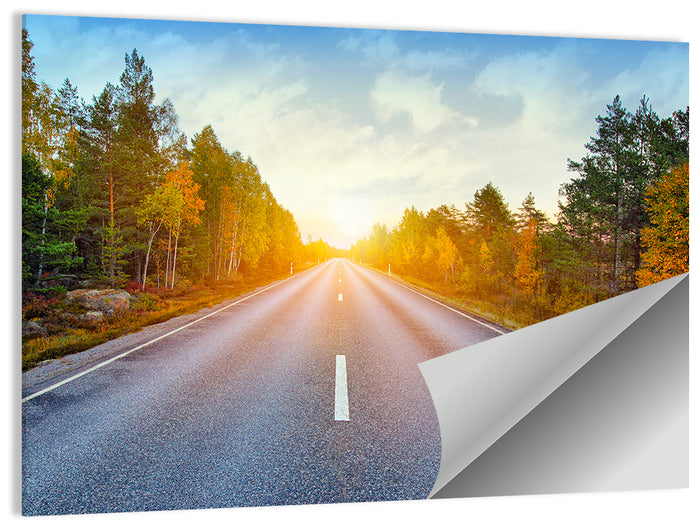Sunlit Autumn Forest Road Wall Art as a poster print