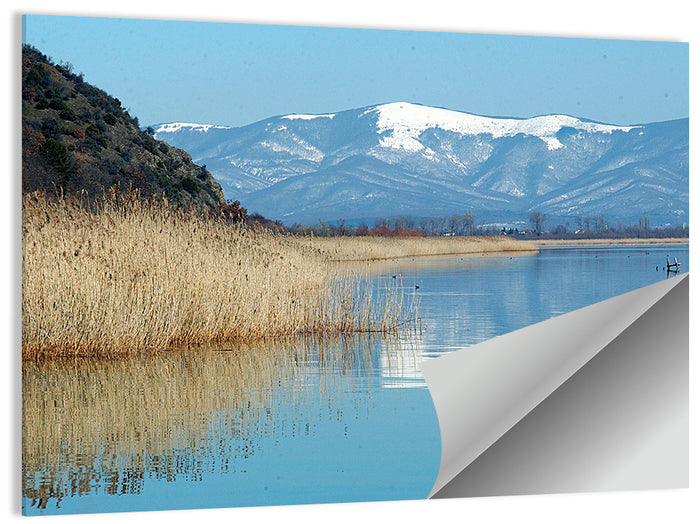 Prespa Lake Reflections Wall Art as a poster print