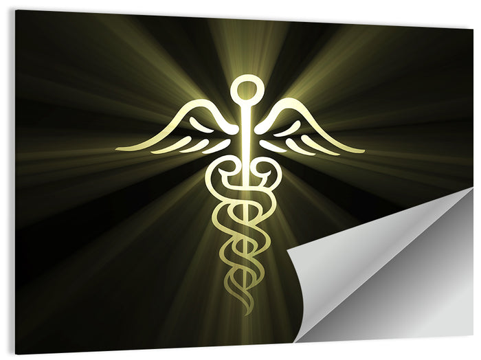 Medical Corps Caduceus Emblem Wall Art as a poster print