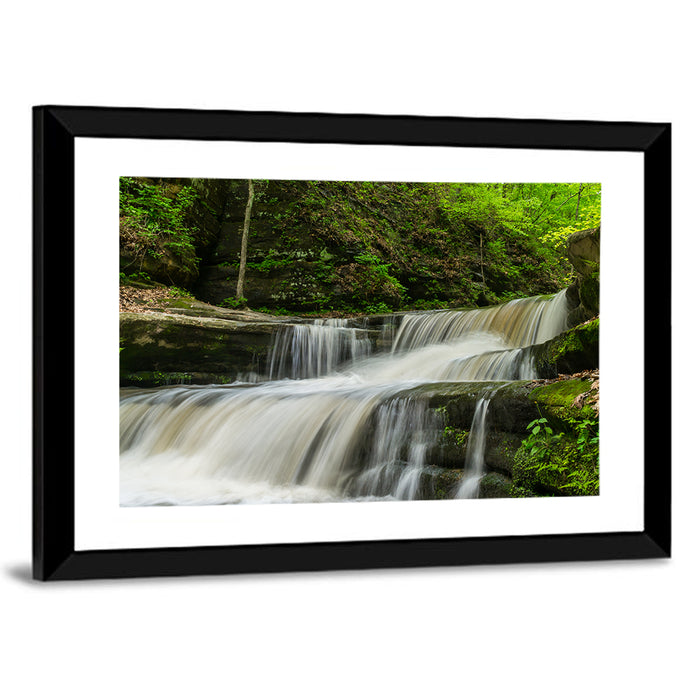 Matthiessen Forest Cascade Wall Art as a framed print