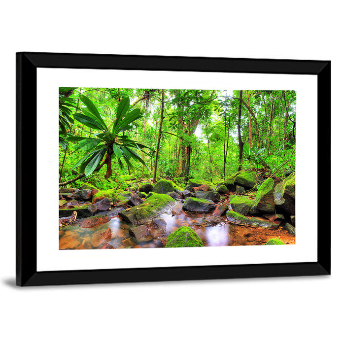 Mossy Rainforest Stream Wall Art as a framed print