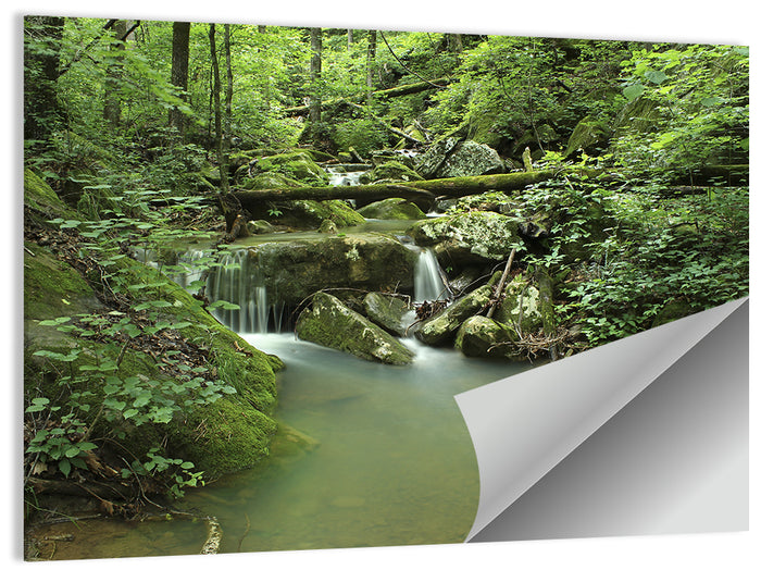 Arkansas Forest Stream Wall Art as a poster print