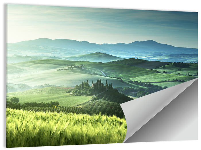 Misty Rolling Hills with Cypresses Wall Art as a poster print