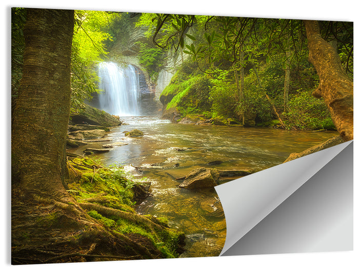 Deep Forest Waterfall Wall Art as a poster print