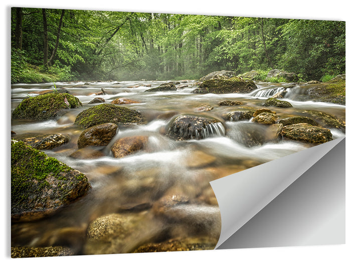 Forest Creek, North Carolina Wall Art as a poster print