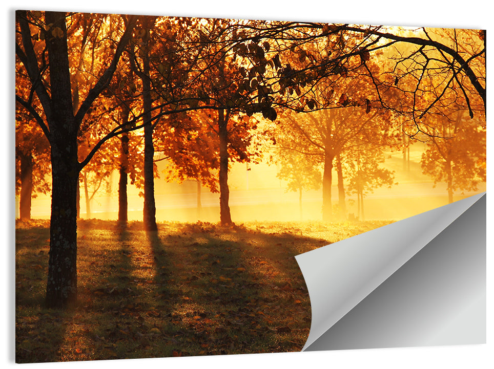 Autumn Sunbeams Through Fog Wall Art