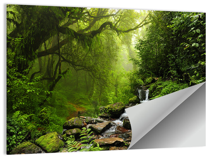 Annapurna Jungle Stream Wall Art as a poster print