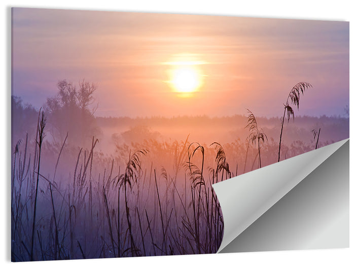 Lavender Sunrise Over Reeds Wall Art as a poster print