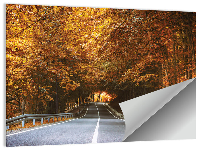 Autumn Forest Road with Canopy Wall Art as a poster print