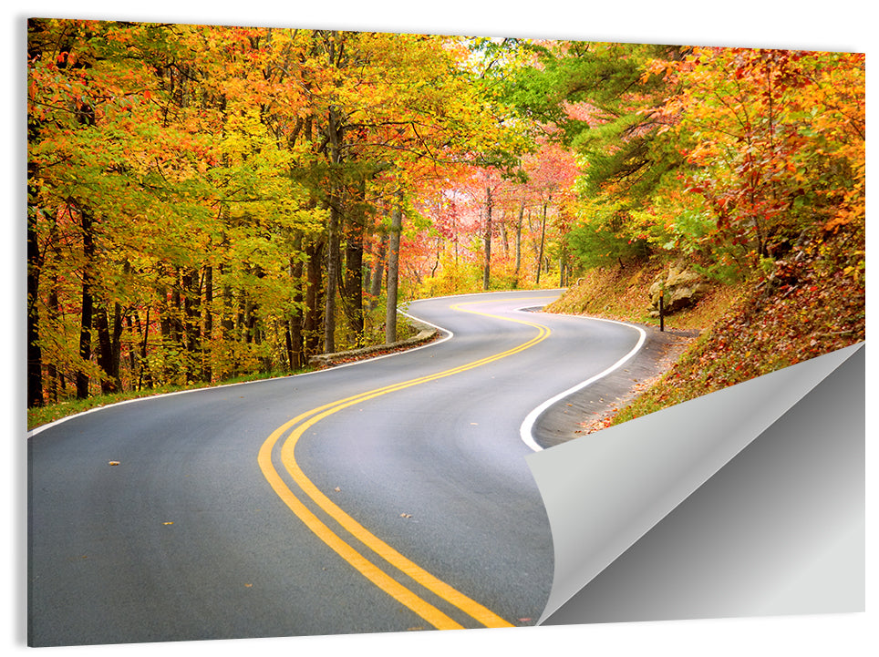 Winding Autumn Road Wall Art, poster print, landscape