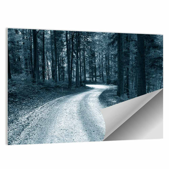 Sandy Forest Road at Dusk Wall Art as a poster print