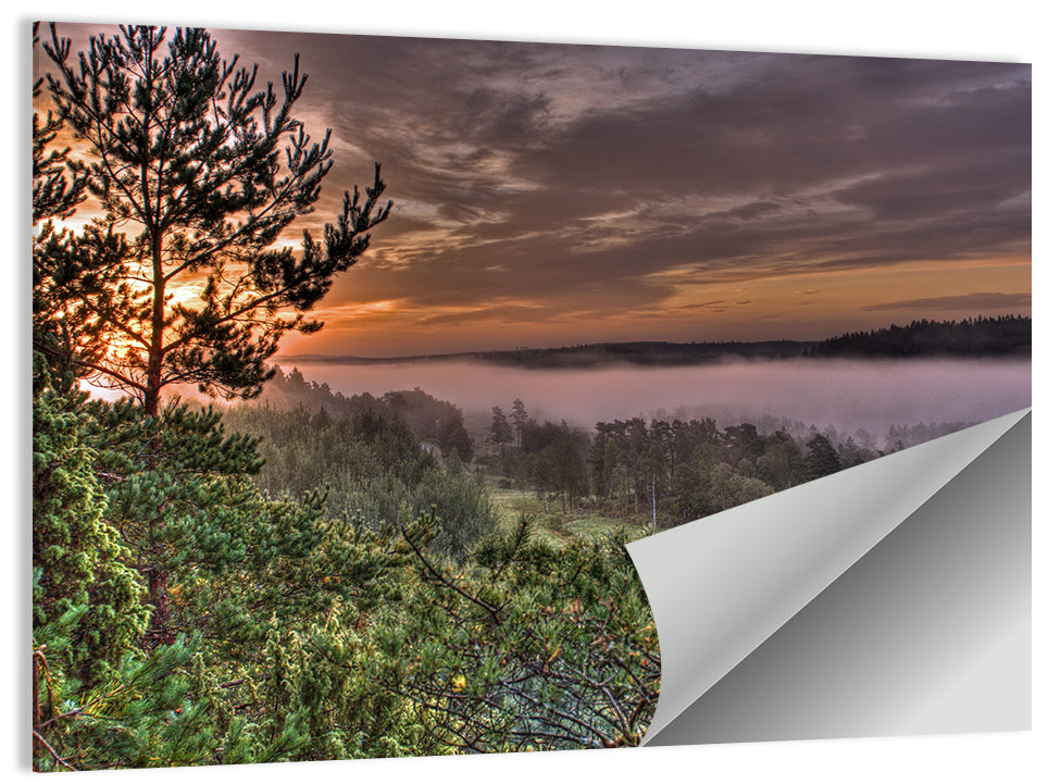 Misty Swedish Pine Valley Wall Art