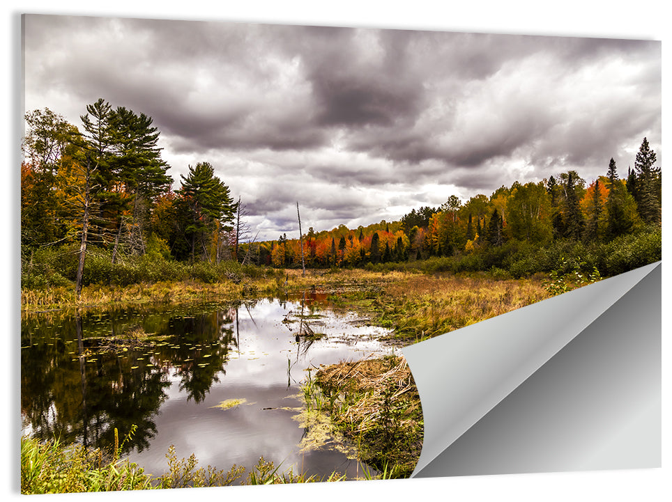 Michigan Autumn Marsh Wall Art