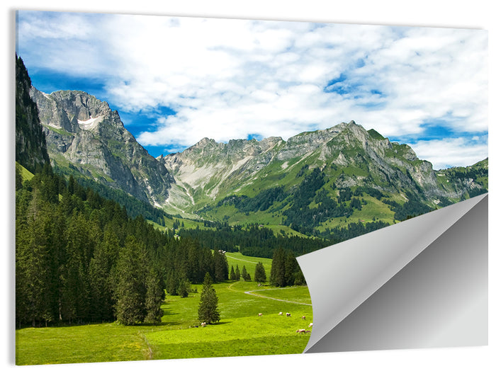 Arnibach Valley Summer Meadow Wall Art as a poster print
