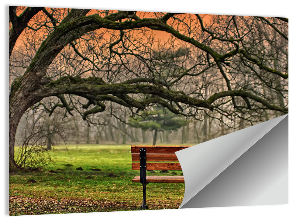 Misty Autumn Park Bench Wall Art