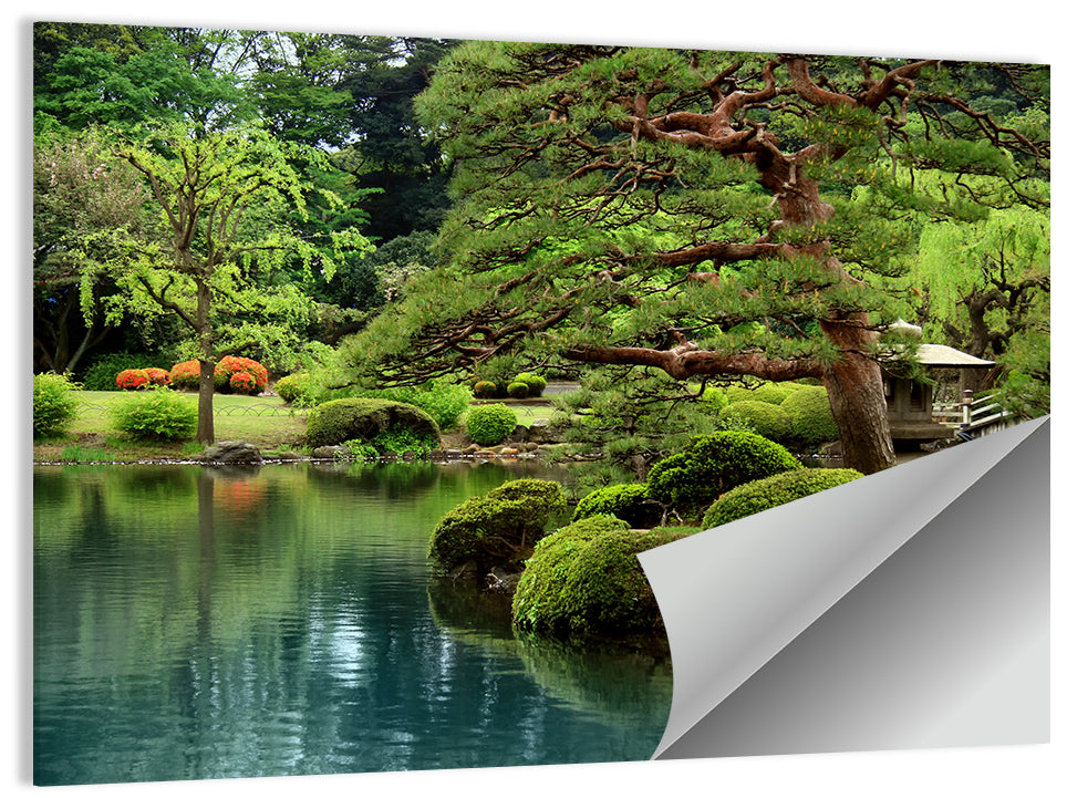 Bonsai Pine Over Tranquil Pond Wall Art