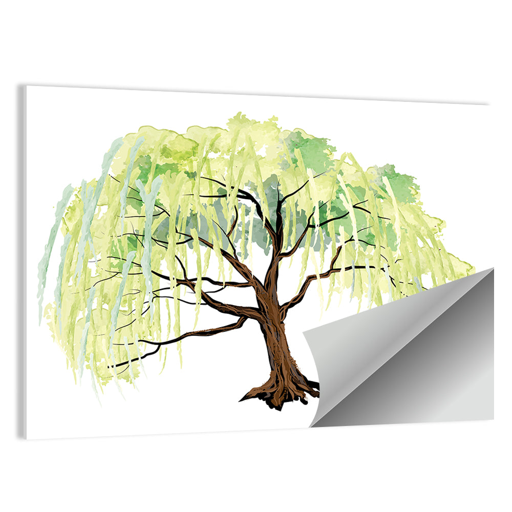Weeping Willow Watercolor Sketch Wall Art
