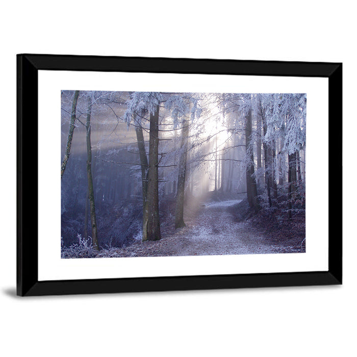 Frosted Forest Path at Dawn Wall Art as a framed print