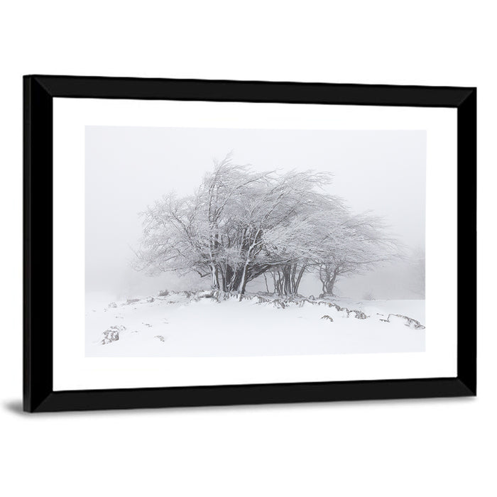 Rime Coated Winter Trees Wall Art as a framed print