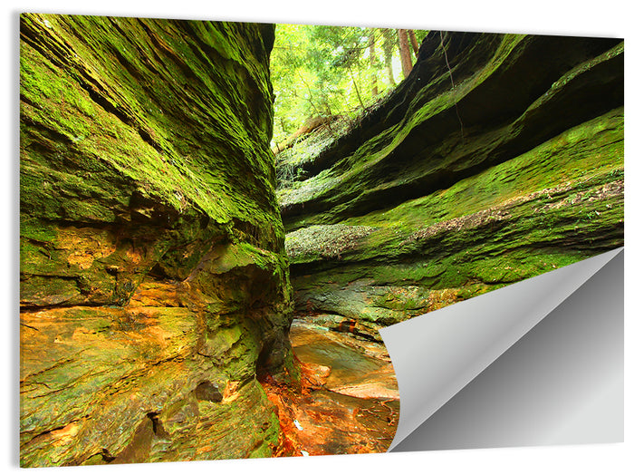 Turkey Run State Park Canyon Wall Art as a poster print