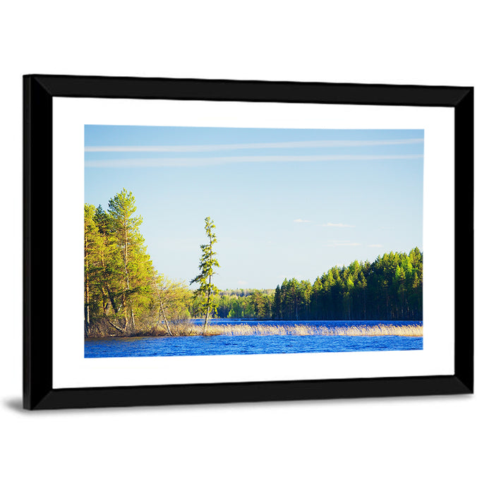 Summer Forest Lake Shoreline Wall Art as a framed print