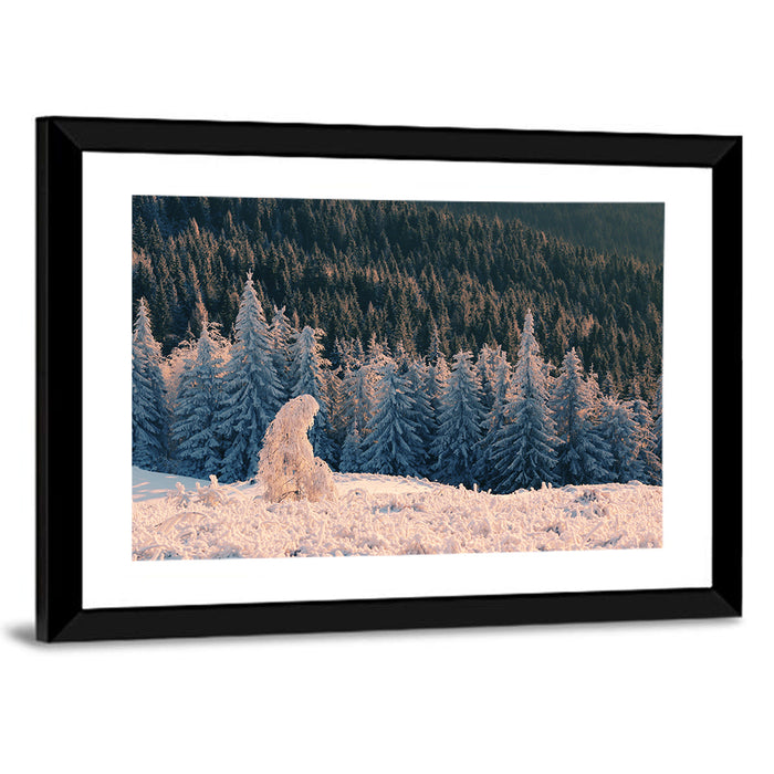 Carpathian Forest at Golden Hour Wall Art as a framed print