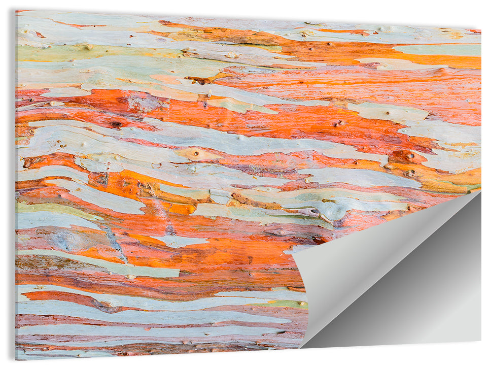 Abstract Eucalyptus Bark Layers Wall Art