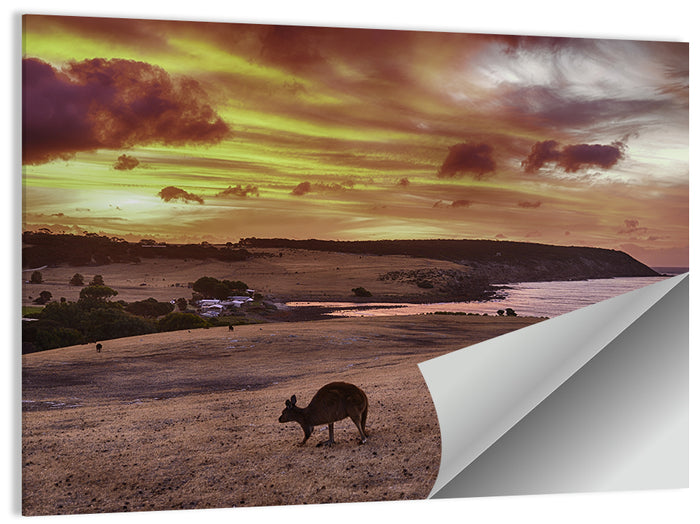 Two Kangaroos at Sunset Coast Wall Art as a poster print