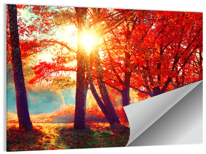 Autumn Park Sunrise Wall Art as a poster print
