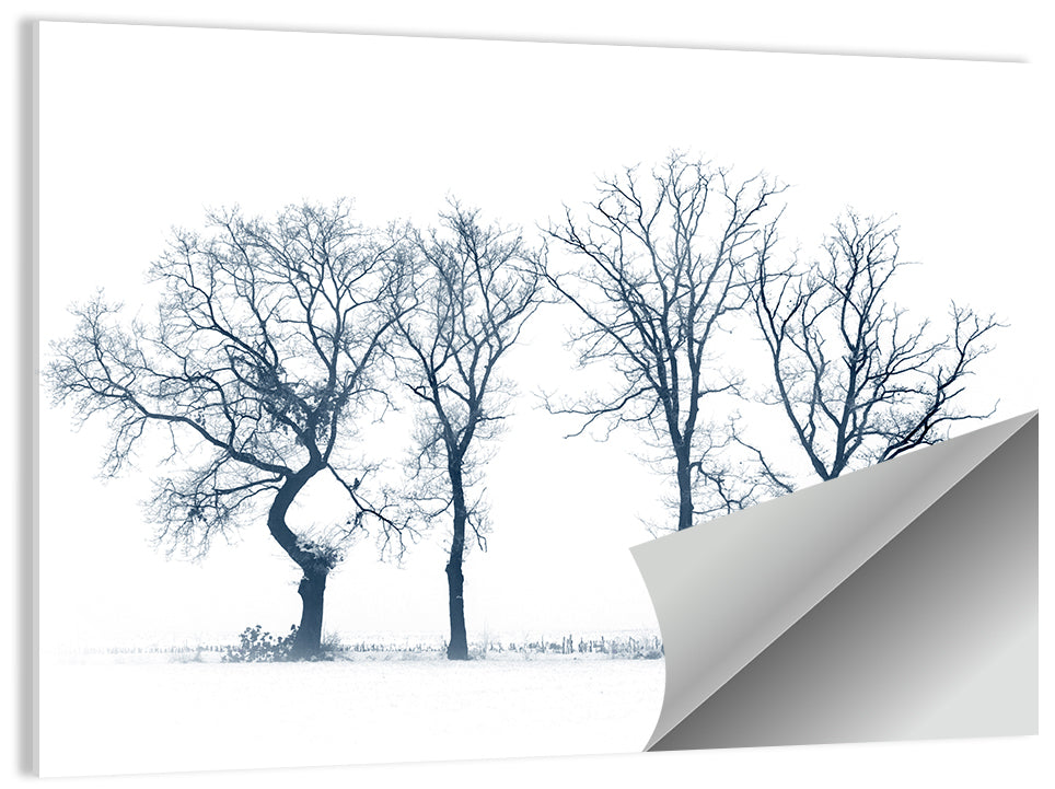 Four Bare Trees in Winter Wall Art