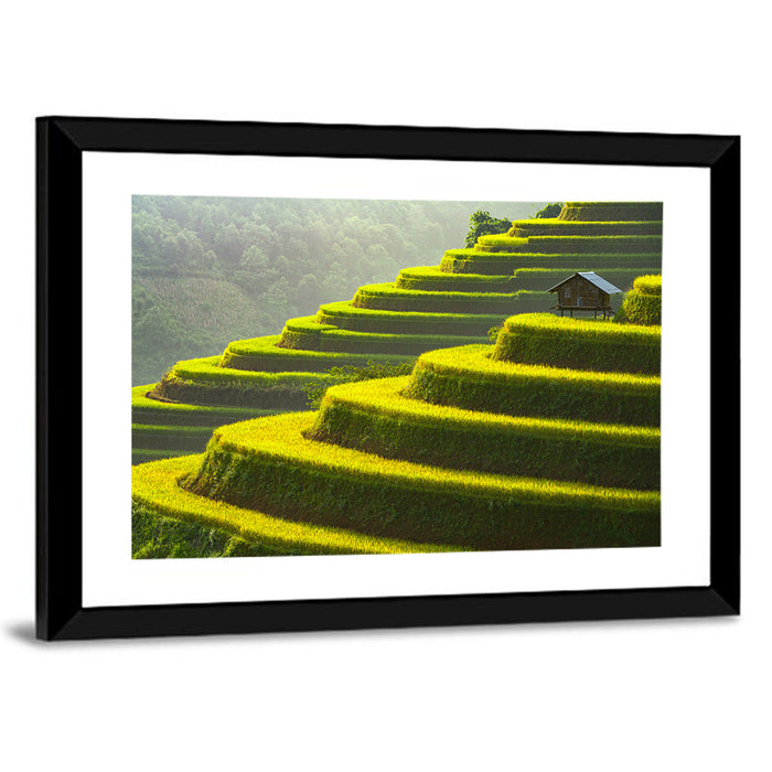 Golden Rice Terraces Wall Art as a framed print