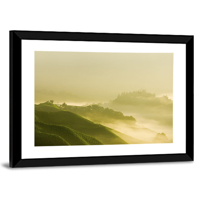 Tea Plantation Morning Mist Wall Art as a framed print