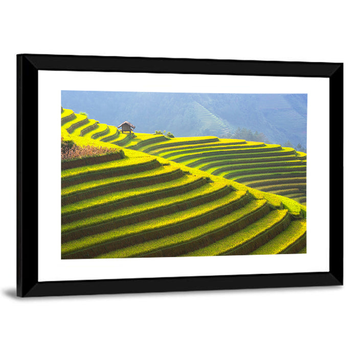 Mu Cang Chai Rice Terraces Wall Art as a framed print