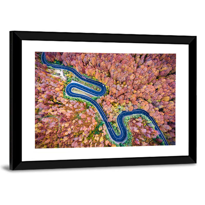 Serpentine Autumn Road Wall Art as a framed print