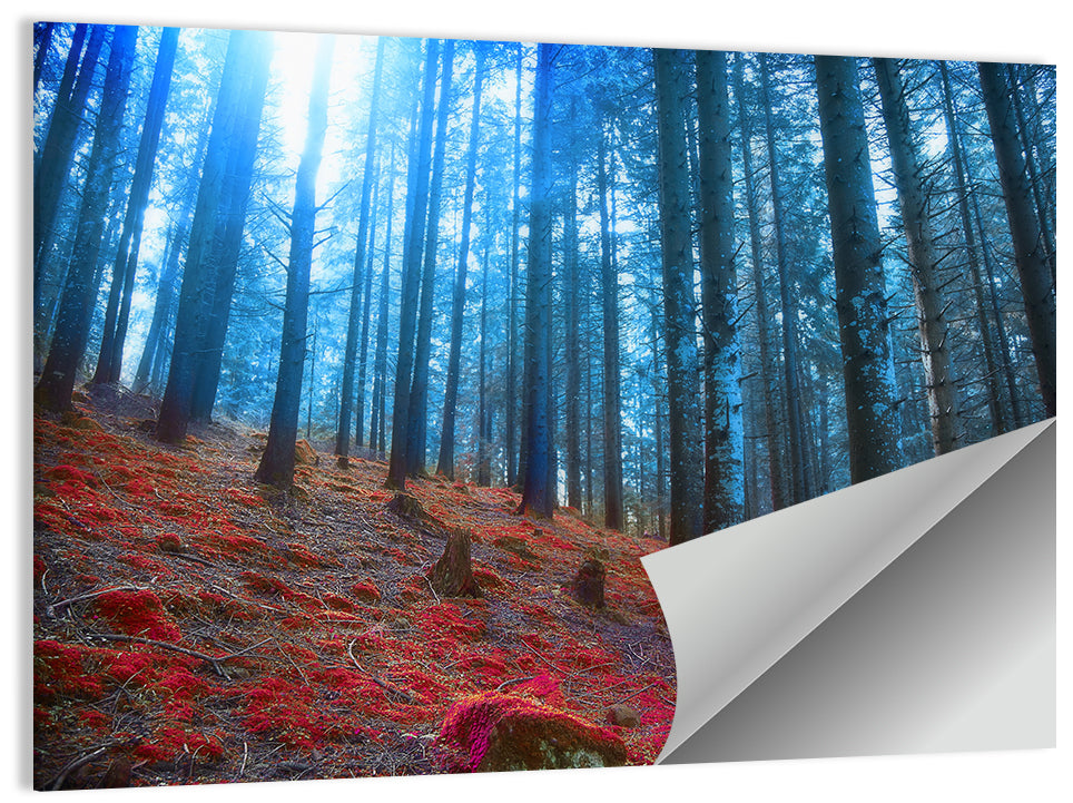 Enchanted Red Moss Forest Wall Art
