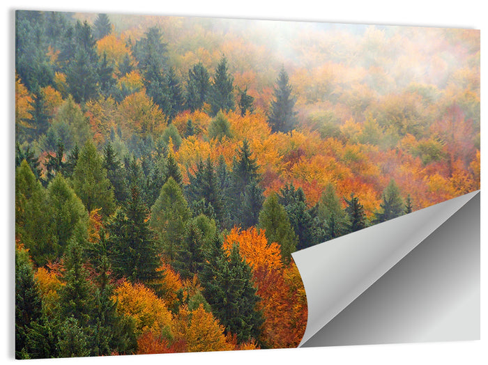 Misty Autumn Forestscape Wall Art as a poster print